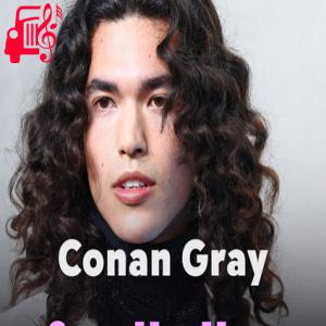 دانلود آهنگ آهنگ Family Line از Conan Gray + متن ترانه