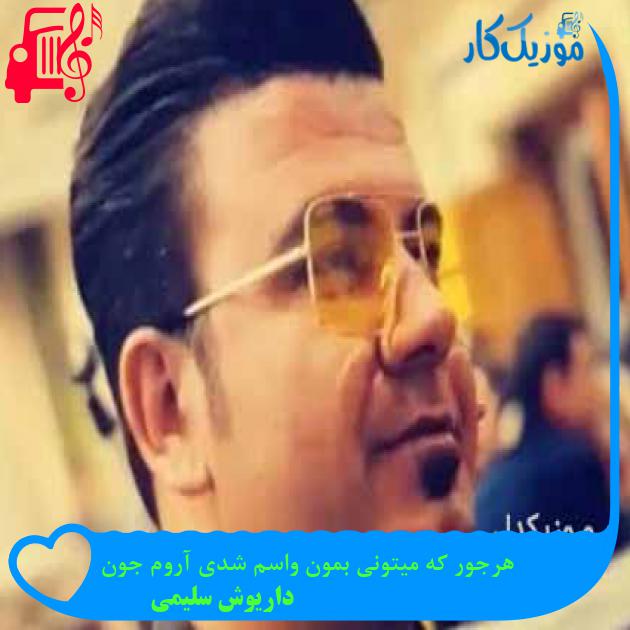 آهنگ هرجور که میتونی بمون واسم شدی آروم جون از داریوش سلیمی + متن ترانه