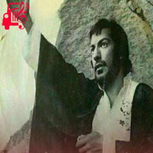 دانلود آهنگ آهنگ شیرین زبون از درویش مصطفی جاویدان
