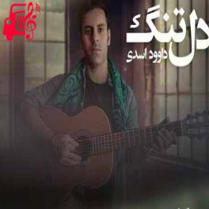کاور آهنگ دل تنگ از داوود اسدی + متن ترانه اثر داوود اسدی