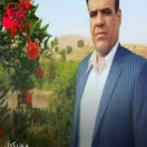 دانلود آهنگ آهنگ گندم کاشتم شریکم نبی از داوود حسینی + متن ترانه