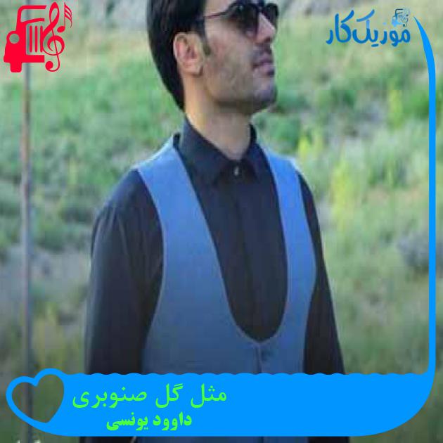 آهنگ مثل گل صنوبری از داوود یونسی + متن ترانه آهنگ مثل گل صنوبری از داوود یونسی + متن ترانه