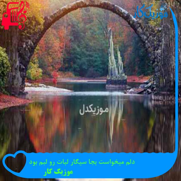 آهنگ دلم میخواست بجا سیگار لبات رو لبم بود از موزیک کار آهنگ دلم میخواست بجا سیگار لبات رو لبم بود از موزیک کار