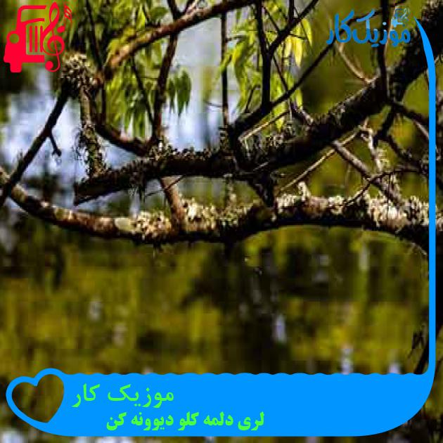 آهنگ موزیک کار از لری دلمه کلو دیوونه کن + متن ترانه آهنگ موزیک کار از لری دلمه کلو دیوونه کن + متن ترانه