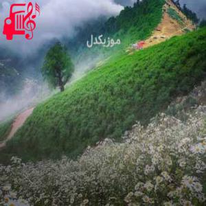 کاور آهنگ ریمیکس tehranto 44 از موزیک کار اثر موزیک کار
