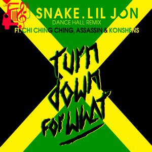 کاور آهنگ turn down for what از Dj Snake Ft Lil Jon + متن ترانه اثر Dj Snake Ft Lil Jon