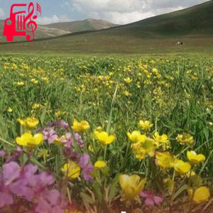 دانلود آهنگ آهنگ پاییزیم قیشیم یاییم ریمیکس از موزیک کار