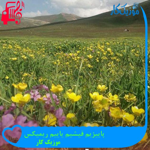 آهنگ پاییزیم قیشیم یاییم ریمیکس از موزیک کار آهنگ پاییزیم قیشیم یاییم ریمیکس از موزیک کار
