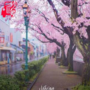 دانلود آهنگ آهنگ patakha guddi از موزیک کار + متن ترانه