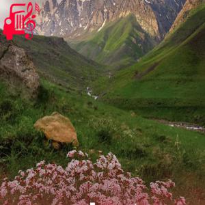 دانلود آهنگ آهنگ عربی قلبی تک تک ریمیکس از موزیک کار