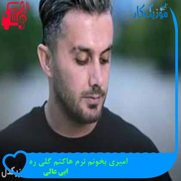 آهنگ امیری بخونم نرم هاکنم گلی ره از ابی عالی + متن ترانه