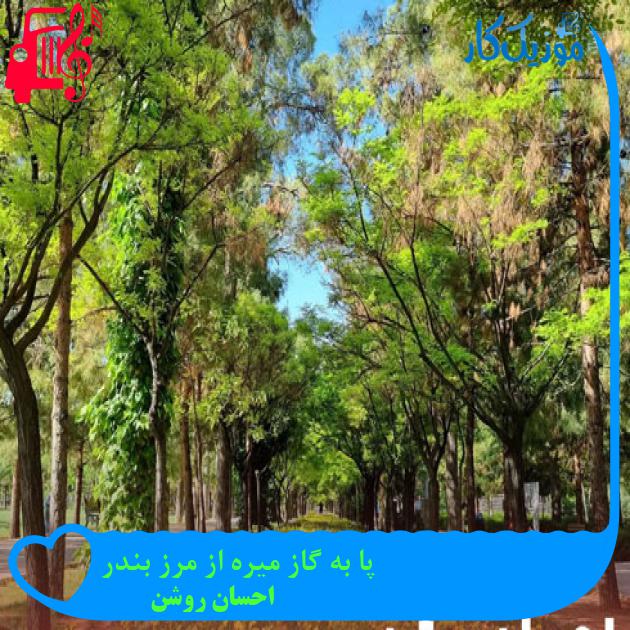 آهنگ پا به گاز میره از مرز بندر از احسان روشن + متن ترانه