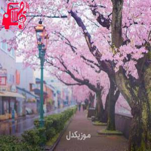 دانلود آهنگ آهنگ آشتی اجرای گروهی از موزیک کار + متن ترانه