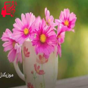 دانلود آهنگ آهنگ نمیخوام هیچکسی یار من باشه از موزیک کار + متن ترانه