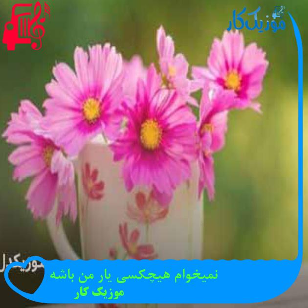 آهنگ نمیخوام هیچکسی یار من باشه از موزیک کار + متن ترانه