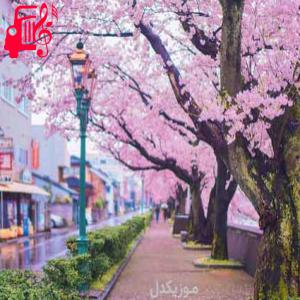 دانلود آهنگ آهنگ امشب امشب با خیالت گروهی از موزیک کار + متن ترانه