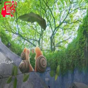 کاور آهنگ کاشکی بیای آشتی کنون از موزیک کار + متن ترانه اثر موزیک کار