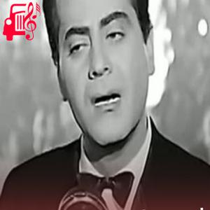 دانلود آهنگ آهنگ بقى عایز تنسانى از فرید الاطرش