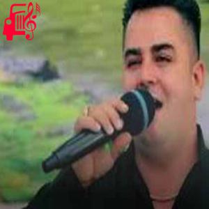 دانلود آهنگ آهنگ عمرم پروانه از فرشاد امینی + متن ترانه