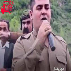 دانلود آهنگ آهنگ گردن زرد از فرشاد امینی + متن ترانه