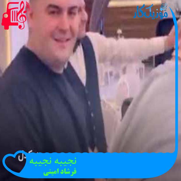 آهنگ نجیبه نجیبه از فرشاد امینی + متن ترانه آهنگ نجیبه نجیبه از فرشاد امینی + متن ترانه