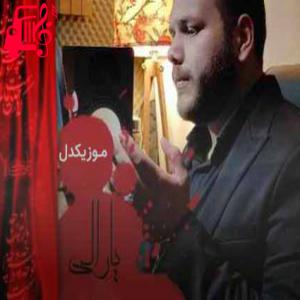 دانلود آهنگ آهنگ یارالی از فرشید محمد زاده + متن ترانه
