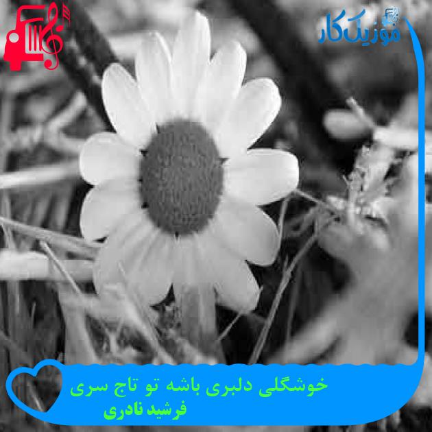 آهنگ خوشگلی دلبری باشه تو تاج سری از فرشید نادری + متن ترانه