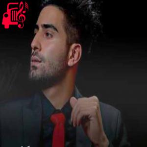 دانلود آهنگ آهنگ دونوم دونوم باشینا دونوم از فرزاد سلطانی + متن ترانه