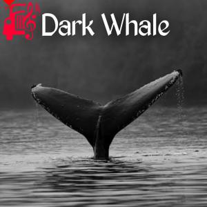 کاور آهنگ Dark Whale از Fatin Al Shadab Ratul and Syed Hassan Samin اثر Fatin Al Shadab Ratul and Syed Hassan Samin