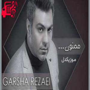دانلود آهنگ آهنگ اینکه همش فکر منی خوبه برام از گرشا رضایی