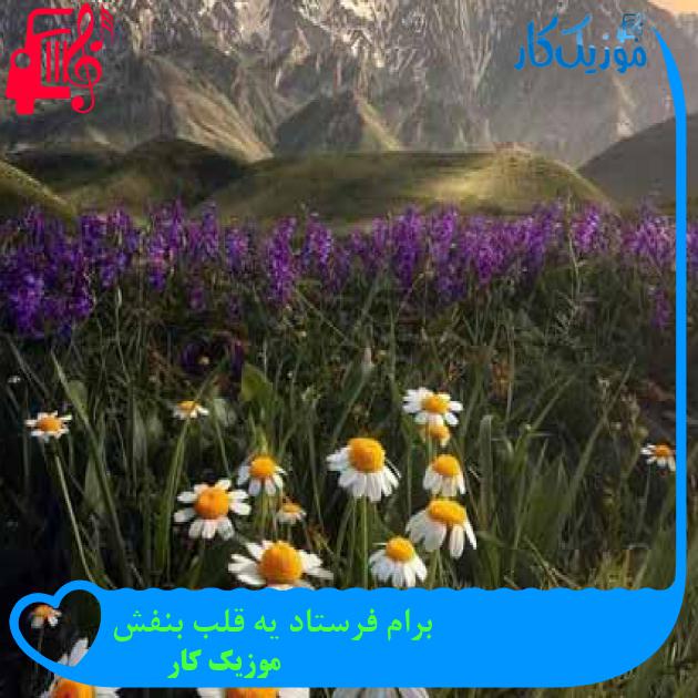 آهنگ برام فرستاد یه قلب بنفش از موزیک کار + متن ترانه