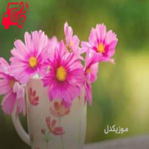 دانلود آهنگ آهنگ اسپانیایی حامد آهنگی در برنامه جوکر از موزیک کار + متن ترانه