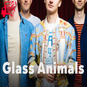 دانلود آهنگ آهنگ Domestic Bliss از Glass Animals