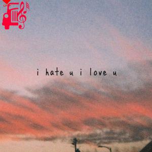 دانلود آهنگ آهنگ i hate you i love you از Gnash + متن ترانه