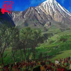 دانلود آهنگ آهنگ گل میخرم واست پرپر کن عشقم اجرای گروهی با گیتار از موزیک کار + متن ترانه