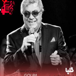 کاور آهنگ امشب شده ام مست از گلپا + متن ترانه اثر گلپا