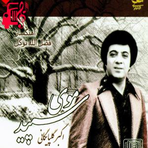کاور آهنگ موی سپید از گلپا + متن ترانه اثر گلپا