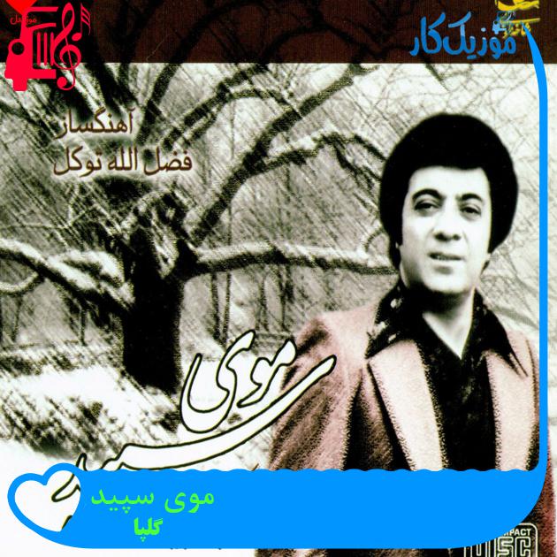 آهنگ موی سپید از گلپا + متن ترانه آهنگ موی سپید از گلپا + متن ترانه
