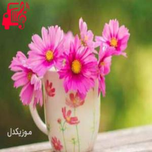 کاور آهنگ beretta از guy2bezbar + متن ترانه اثر guy2bezbar