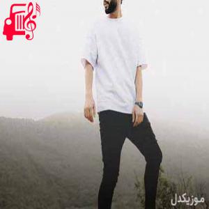 کاور دانلود اهنگ چند وقته که تنگه دلمو حامیم MP3 – موزیک کار اثر حامیم