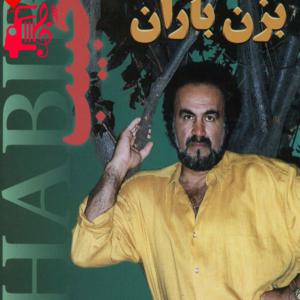 دانلود آهنگ آهنگ بزن باران از حبیب + متن ترانه