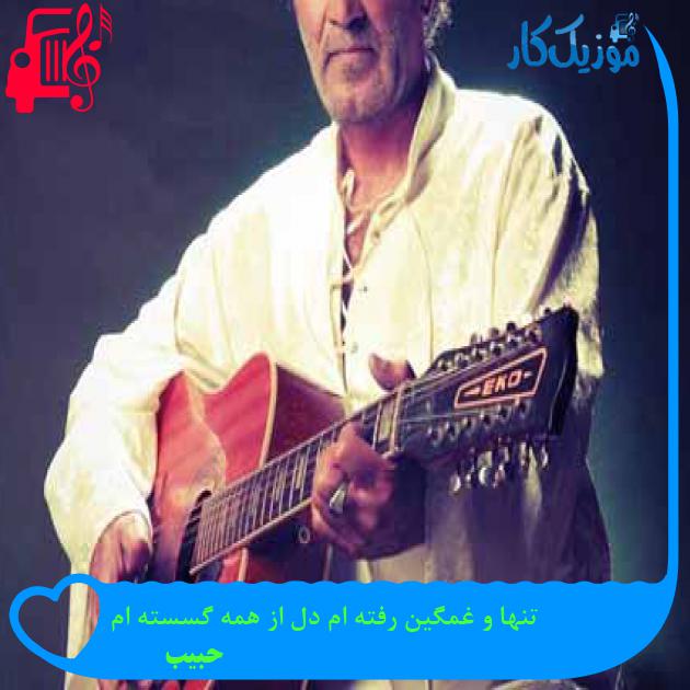 آهنگ تنها و غمگین رفته ام دل از همه گسسته ام از حبیب + متن ترانه آهنگ تنها و غمگین رفته ام دل از همه گسسته ام از حبیب + متن ترانه
