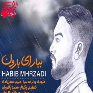 کاور آهنگ ببار ای بارون از حبیب مهرزادی اثر حبیب مهرزادی
