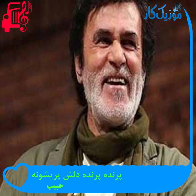 آهنگ پرنده پرنده دلش پریشونه از حبیب + متن ترانه