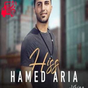 کاور آهنگ هیس از حامد آریا + متن ترانه اثر حامد آریا