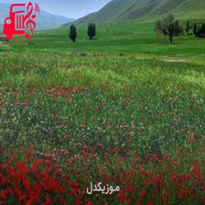 کاور آهنگ صوتی افغانی داماد جان اوشکو که خوابت نبره از حامد هجران + متن ترانه اثر حامد هجران