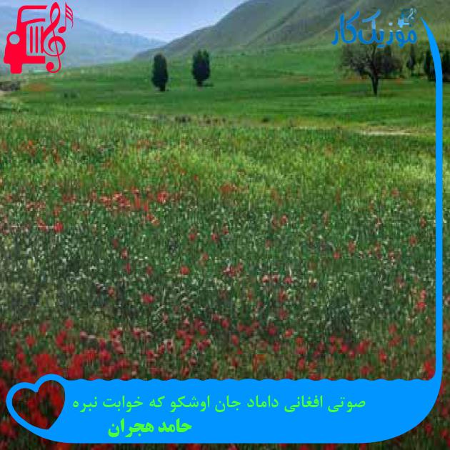 آهنگ صوتی افغانی داماد جان اوشکو که خوابت نبره از حامد هجران + متن ترانه