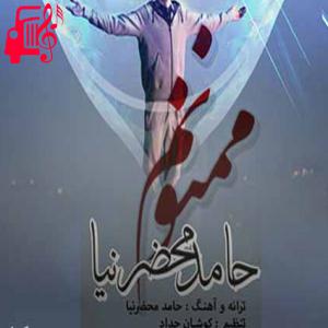 دانلود آهنگ آهنگ من تو رو دوست دارم بی حد و اندازه از حامد محضرنیا + متن ترانه