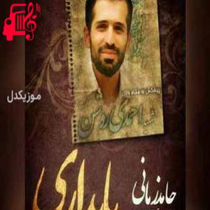 دانلود آهنگ آهنگ پایداری از حامد زمانی + متن ترانه