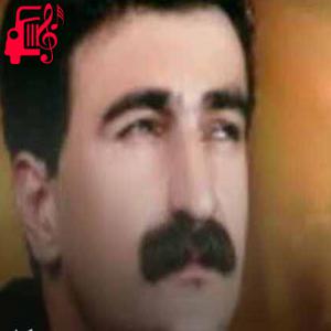 کاور آهنگ هر بایکی میو از حمید حمیدی + متن ترانه اثر حمید حمیدی